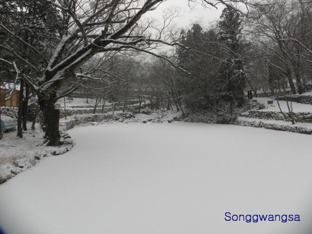 Hình ảnh mùa đông Tòng Quảng Tự Cổ Tự, Hàn Quốc