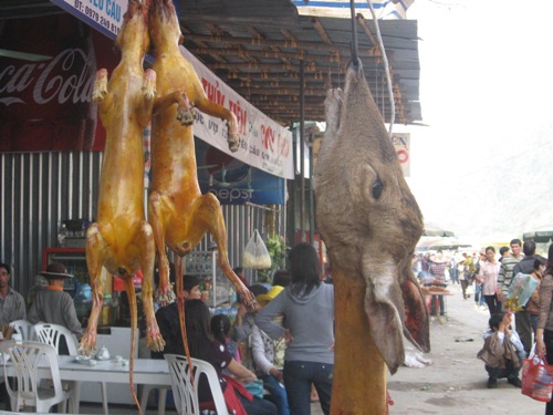 Trẩy hội chùa Hương, khốn khổ vì bị “chặt chém”