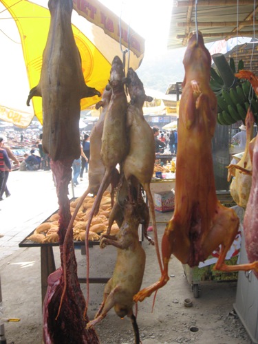 Trẩy hội chùa Hương, khốn khổ vì bị “chặt chém”