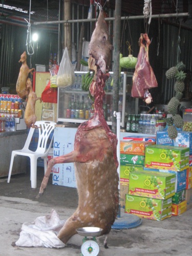 Trẩy hội chùa Hương, khốn khổ vì bị “chặt chém”