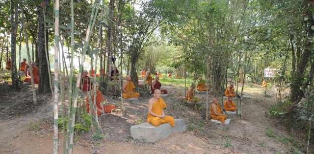 Phật giáo Nam Tông vào mùa an cư