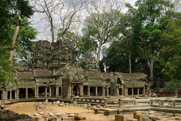 Ta Prohm - vẻ đẹp của sự hoang tàn