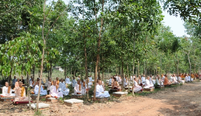 Phật giáo Nam Tông vào mùa an cư