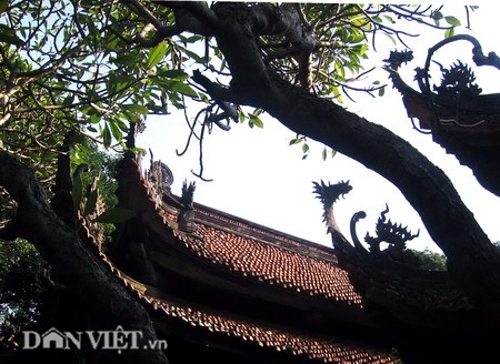 Đặc sắc mái đao Chùa Tây Phương