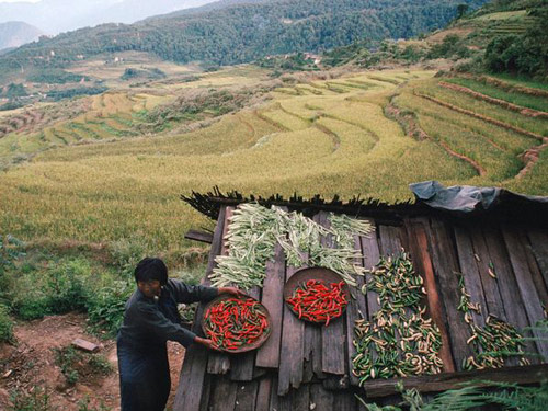 Vẻ đẹp thanh bình ở Bhutan