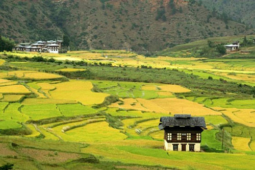 Vẻ đẹp thanh bình ở Bhutan