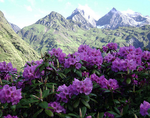 Vẻ đẹp thanh bình ở Bhutan
