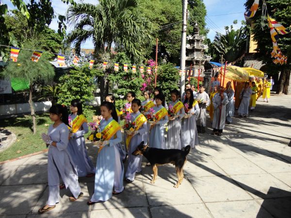 Bình Định: Chính Thức Khai Mạc Khóa Tu mùa Hè 2011