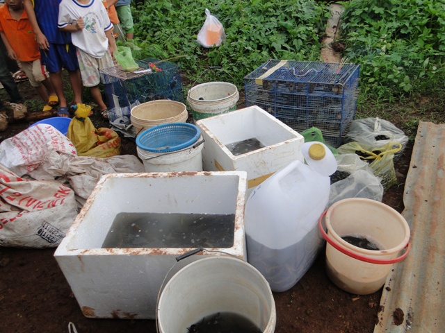 ĐăkLăk: Chùa Liên Trì Tổ Chức Đại Lễ Lạc Thành