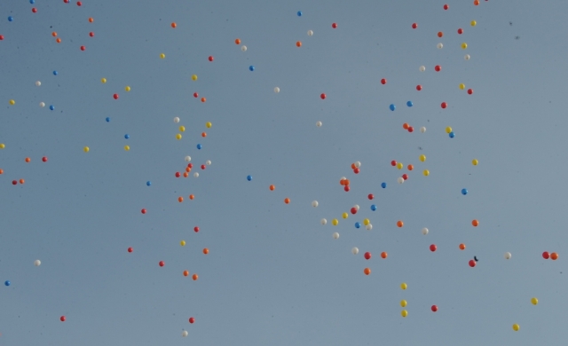 Chùm ảnh: TP. HCM tổ chức lễ tưởng niệm Bồ tát Thích Quảng Đức vị pháp thiêu thân nhân mùa Phật đản 2555