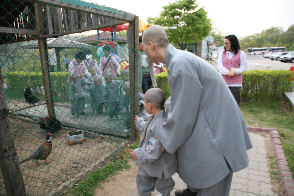 Tiểu Tí hon Hoằng Pháp Tự  -  Sinh hoạt mùa Phật Đản Hàn Quốc
