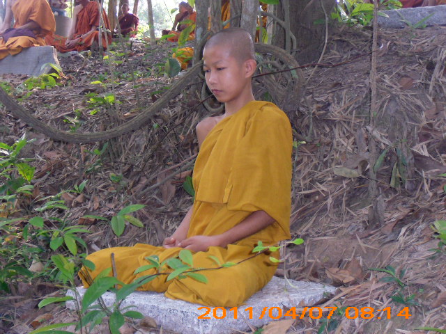 Phóng sự ảnh: Tăng Ni Phật tử thiền viện Phước Sơn tích cực bảo vệ môi trường sinh thái