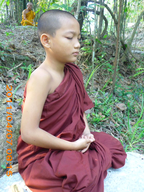 Phóng sự ảnh: Tăng Ni Phật tử thiền viện Phước Sơn tích cực bảo vệ môi trường sinh thái