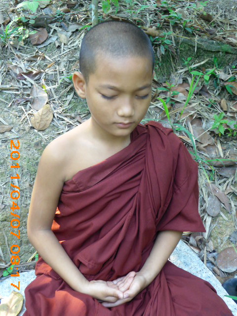 Phóng sự ảnh: Tăng Ni Phật tử thiền viện Phước Sơn tích cực bảo vệ môi trường sinh thái