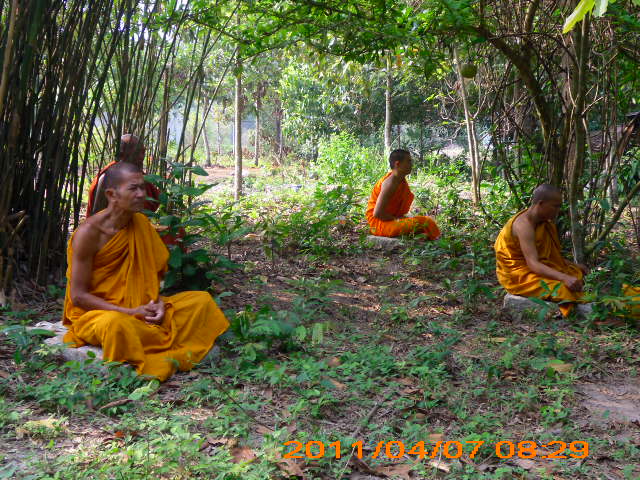 Phóng sự ảnh: Tăng Ni Phật tử thiền viện Phước Sơn tích cực bảo vệ môi trường sinh thái