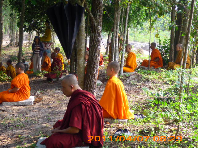 Phóng sự ảnh: Tăng Ni Phật tử thiền viện Phước Sơn tích cực bảo vệ môi trường sinh thái