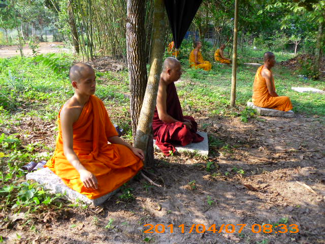 Phóng sự ảnh: Tăng Ni Phật tử thiền viện Phước Sơn tích cực bảo vệ môi trường sinh thái