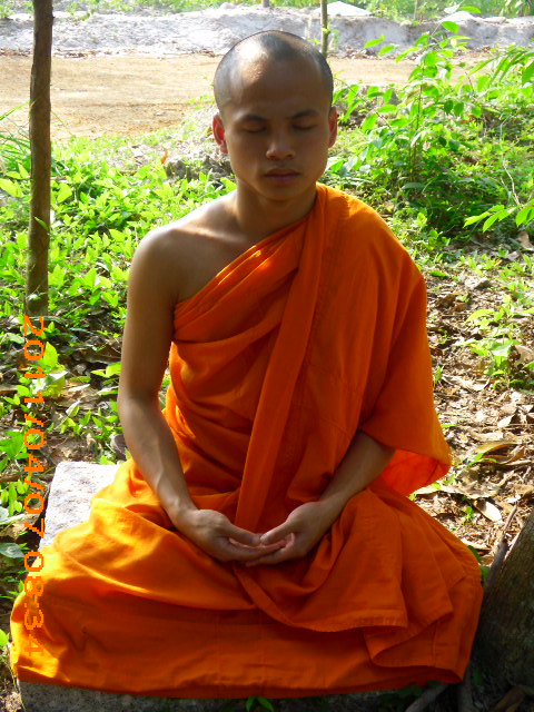 Phóng sự ảnh: Tăng Ni Phật tử thiền viện Phước Sơn tích cực bảo vệ môi trường sinh thái