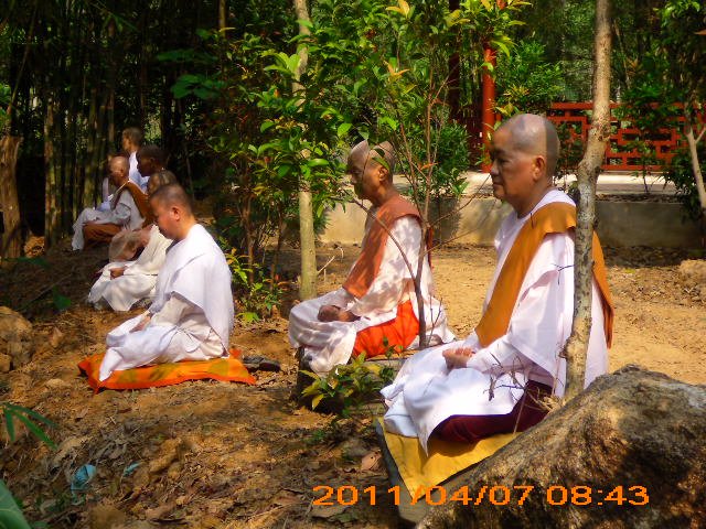 Phóng sự ảnh: Tăng Ni Phật tử thiền viện Phước Sơn tích cực bảo vệ môi trường sinh thái