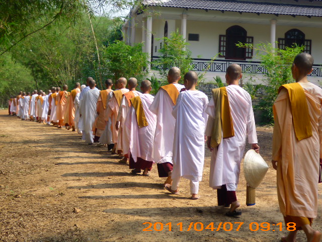 Phóng sự ảnh: Tăng Ni Phật tử thiền viện Phước Sơn tích cực bảo vệ môi trường sinh thái