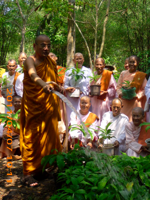 Phóng sự ảnh: Tăng Ni Phật tử thiền viện Phước Sơn tích cực bảo vệ môi trường sinh thái