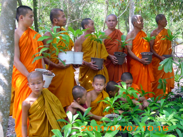 Phóng sự ảnh: Tăng Ni Phật tử thiền viện Phước Sơn tích cực bảo vệ môi trường sinh thái