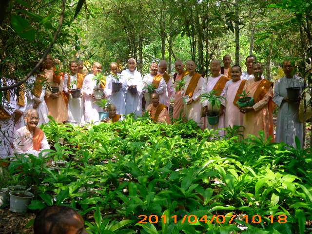 Phóng sự ảnh: Tăng Ni Phật tử thiền viện Phước Sơn tích cực bảo vệ môi trường sinh thái