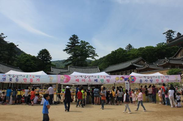 Hình ảnh sinh hoạt Hè tại Tổ đình Hải Ấn, Hàn Quốc