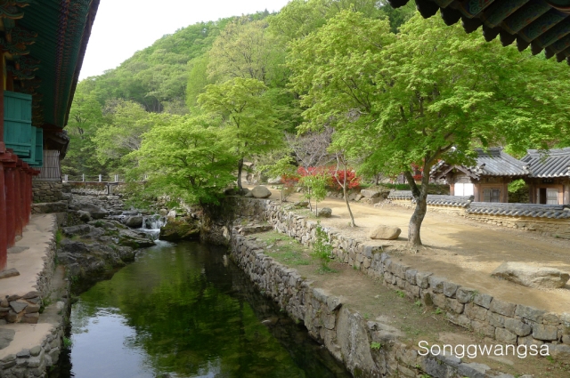 Hình ảnh mùa Xuân- Hạ Tòng Quảng Tự Cổ Tự, Hàn Quốc