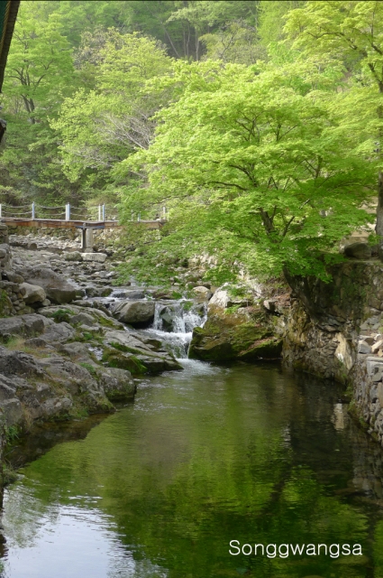 Hình ảnh mùa Xuân- Hạ Tòng Quảng Tự Cổ Tự, Hàn Quốc