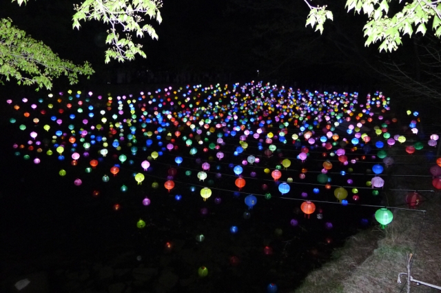 Hình ảnh mùa Xuân- Hạ Tòng Quảng Tự Cổ Tự, Hàn Quốc