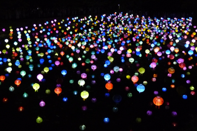 Hình ảnh mùa Xuân- Hạ Tòng Quảng Tự Cổ Tự, Hàn Quốc