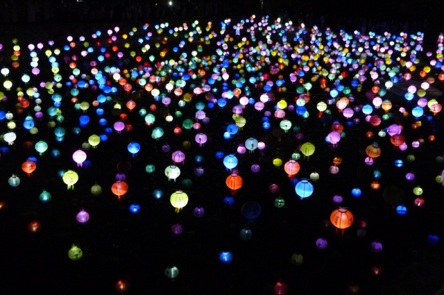 Hình ảnh mùa Xuân- Hạ Tòng Quảng Tự Cổ Tự, Hàn Quốc