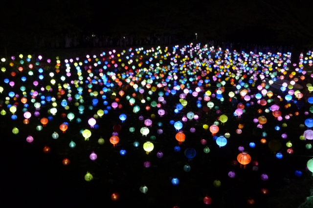 Hình ảnh mùa Xuân- Hạ Tòng Quảng Tự Cổ Tự, Hàn Quốc