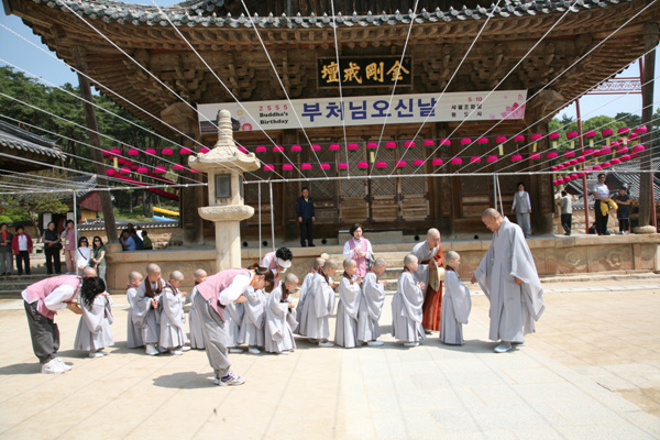 Các tiểu Hòa thượng về Tổ đình Thông Độ Hàn Quốc