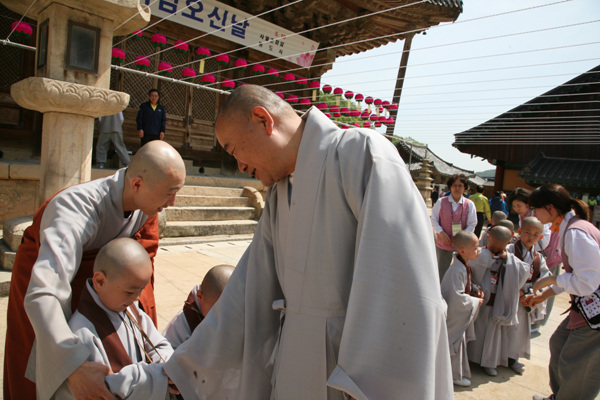 Các tiểu Hòa thượng về Tổ đình Thông Độ Hàn Quốc