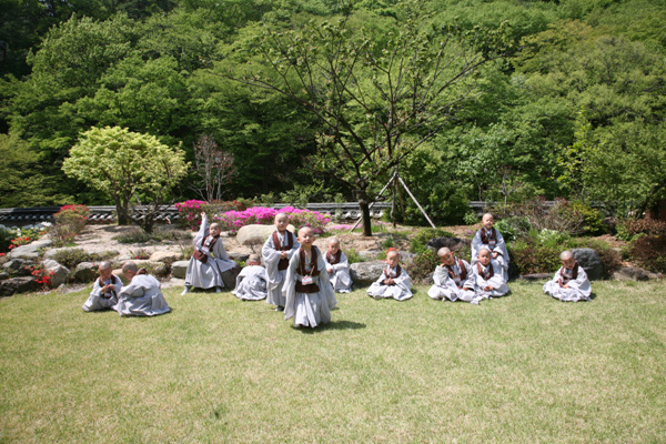 Các tiểu Hòa thượng về Tổ đình Thông Độ Hàn Quốc