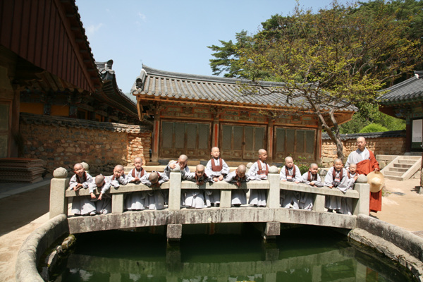 Các tiểu Hòa thượng về Tổ đình Thông Độ Hàn Quốc