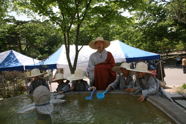 Các tiểu Hòa thượng về Tổ đình Thông Độ Hàn Quốc