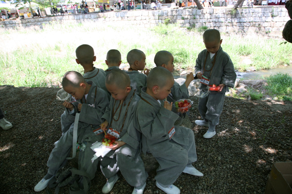 Các tiểu Hòa thượng về Tổ đình Thông Độ Hàn Quốc