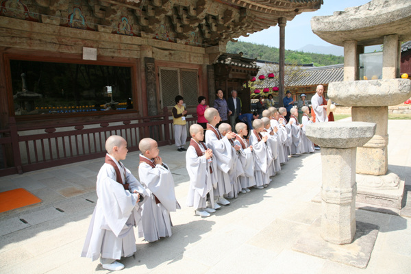 Các tiểu Hòa thượng về Tổ đình Thông Độ Hàn Quốc