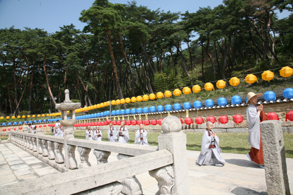 Các tiểu Hòa thượng về Tổ đình Thông Độ Hàn Quốc