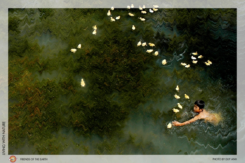 VIETNAMESE BUDDHISM  AND ENVIRONMENTAL CARE