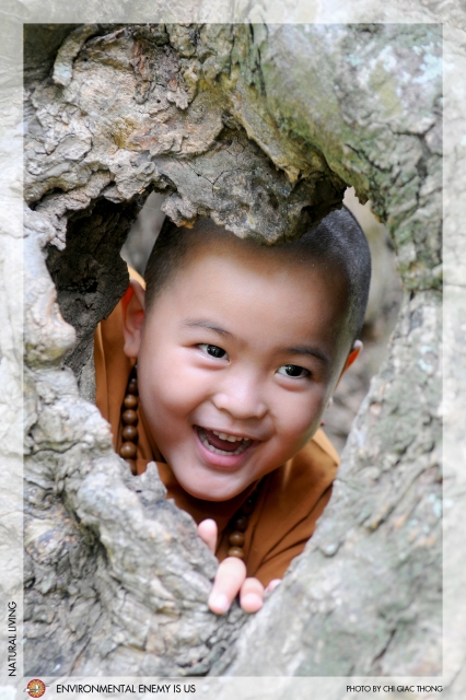 VIETNAMESE BUDDHISM  AND ENVIRONMENTAL CARE