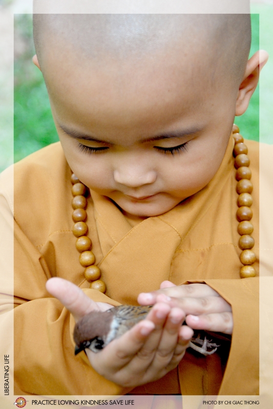 VIETNAMESE BUDDHISM  AND ENVIRONMENTAL CARE