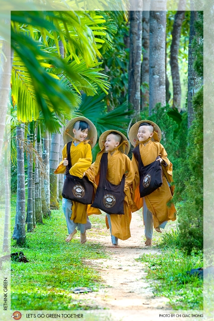 VIETNAMESE BUDDHISM  AND ENVIRONMENTAL CARE