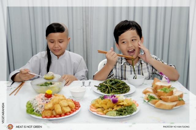 VIETNAMESE BUDDHISM  AND ENVIRONMENTAL CARE