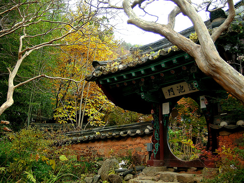 Đại Nguyên Tự, Hàn Quốc nơi tìm hiểu Mật Tông