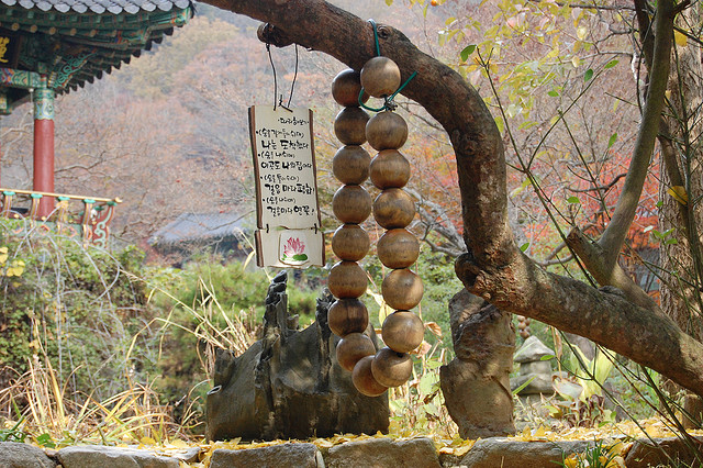 Đại Nguyên Tự, Hàn Quốc nơi tìm hiểu Mật Tông