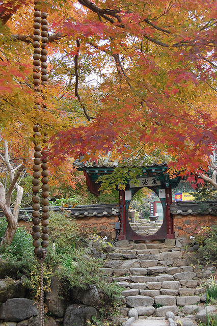 Đại Nguyên Tự, Hàn Quốc nơi tìm hiểu Mật Tông